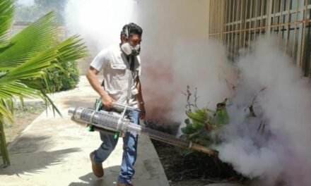 DENGUE EN SONORA: DISMINUYEN CONTAGIOS Y NO SE REPORTAN DEFUNCIONES ESTE AÑO